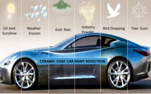 best ceramic coat car paint protection review